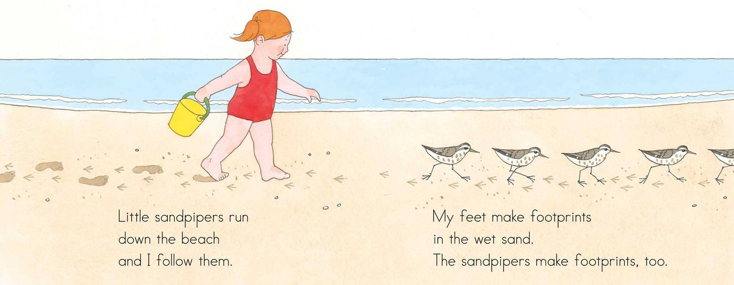 At the Beach by Anne Rockwell