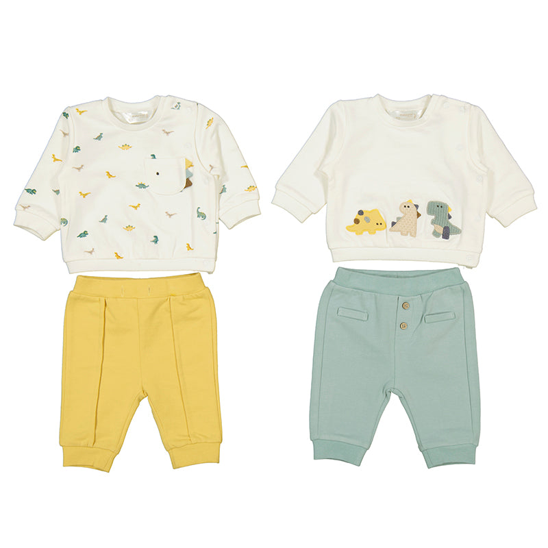 Dinosaur Print Sweatpant Set