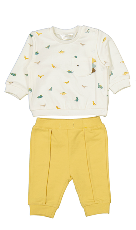 Dinosaur Print Sweatpant Set