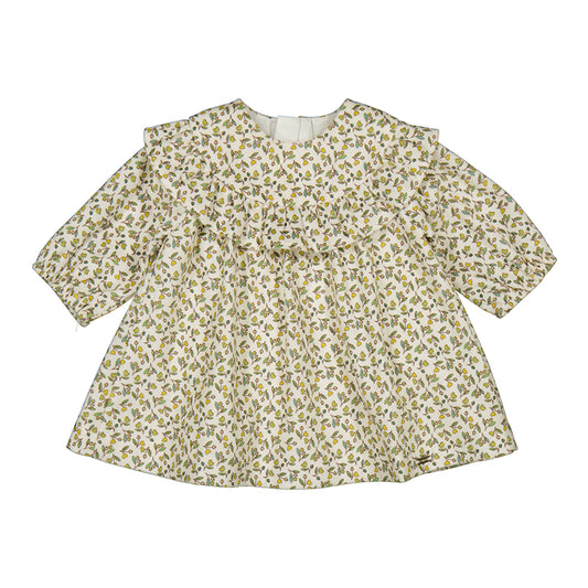 Printed Velvet Dress- Olive Green